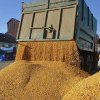 Florin Barbu cere la Finanțe sigilii electronice pentru TIR-urile cu cereale din Ucraina