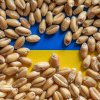 „Noi nu îi scoatem pe fermierii europeni de pe pieţele lor locale”- oficial de la Kiev