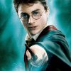 Un fan Harry Potter a pus pe jar polițiștii englezi