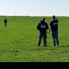 Animale sălbatice găsite moarte pe un câmp din Timiș. Autoritățile au demarat o anchetă (foto)