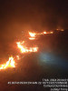 Incendiu uriaș în Timiș. Flăcările s-au extins pe aproximativ 100 de hectare