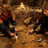 Arheologii germani anunță o descoperire majoră în ceea ce privește evoluția umană și colonizarea Europei
