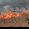Au vrut să pregătească terenul pentru lucrările agricole din primăvară, dar au stârnit un puternic incendiu de vegetație