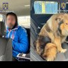 FOTO! Dosar penal pentru un bărbat din Bacău, care a furat un câine rasa Collie