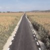 24 februarie- data limită pentru depunerea proiectelor  pentru modernizarea drumurilor de exploatare agricolă