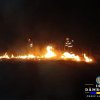 Opriți arderea vegetației uscate : Incendiu de vegetație uscată în comuna Ulmi, sat Viisoara, în toiul nopții 