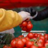 Comisia Europeană a aprobat un ajutor de stat pentru producătorii români de tomate și usturoi
