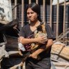 În Chile, câini și pisici rătăcesc printre ruine. Oamenii își caută animalele de companie, după incendiile devastatoare 
