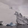 Microplasticele ar putea avea deja efecte negative asupra Antarcticii