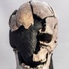 „Omul din Vittrup”, cel mai vechi imigrant în Danemarca, a fost ucis. Cercetătorii au aflat ce s-a întâmplat acum 5.200 de ani