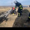 Operațiune dificilă în Tulcea: Un cățel a fost salvat de pompieri după ce a rămas blocat timp de 3 zile într-o groapă adâncă