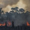 Peste 3000 de incendii în cea mai mare pădure tropicală a planetei, număr record pentru o lună februarie