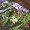 Rușii îi cer mamei lui Aleksei Navalnîi să-și înmormânteze fiul în secret. Putin se teme de funeralii publice