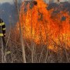 Alertă la Etulia: Circa 300 de metri de stufăriș din localitate, în flăcări