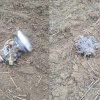 Fragmentele de dronă găsite ieri la Vulcănești au fost ridicate: Ce spune poliția