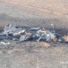 Fragmentele de dronă găsite la Vulcănești au fost ridicate: Ce urmează să se înâtmple cu acestea