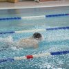 De marți, 27 februarie 2024, încep cursurile gratuite de înot organizate de Primărie pentru elevii blăjeni