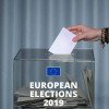 Ce rezultate au obținut partidele din Argeș la alegerile europarlamentare din 2019