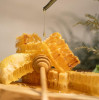 Comisia Europeană impune reguli stricte privind etichetarea mierii