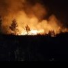 Incendiu puternic de vegetație uscată și pădure, în localitatea Ciuruleasa, pe o suprafață de aproximativ 5.000 de metri pătrați