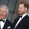 Prințul Harry va fi primit înapoi de familia regală?