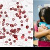 HARTA abuzului în școli și universități. Clujul, pe locul doi în țară la numărul de cazuri. Mărturiile victimelor: „A dezbrăcat toată clasa” / „A fost bătută și sechestrată în facultate”.