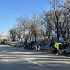 Pe străzile din Timișoara se efectuează lucrări de întreținere a vegetației