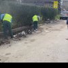 Primăria Timișoara face curat pe o stradă din oraș