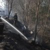 Cel puţin 19 morţi, în incendiile de vegetație din Chile