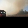 Bacău: Circa 10 hectare de vegetaţie uscată au ars într-un incendiu la Răchitoasa