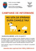Campanie de informare adresată stăpânilor de câini din Pitești: NU UITA SĂ STRÂNGI DUPĂ CÂINELE TĂU!