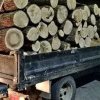 Delictele silvice în Argeș, la ordinea zilei! Prins cu lemne fără acte