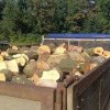 Mioveni: Transporta material lemnos fără proveniență justificată