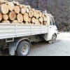 Prins la Călinești când transporta lemne fără acte