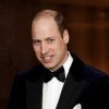 Prințul moștenitor William a cerut încetarea războiului din Fâșia Gaza “cât mai curând posibil”
