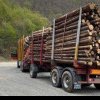 Transport ilegal de lemne la Domnești