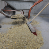 How much is news and how much is fake in the grain scandal: Do Ukrainian carriers have priority in the Port of Constanța? How much grain remains in the country after the bans? And how are the European parliamentary elections being influenced