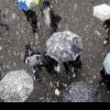 Meteorologii anunță că ninsorile și frigul se întorc în România, după câteva zile cu temperaturi de primăvară