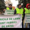 Zeci de persoane care lucrează pentru firme de exploatare a lemnului din judeţ au protestat, joi, în faţa Prefecturii Maramureş