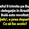 Bancul zilei: Șeful îl trimite pe Bulă în delegație în Brazilia