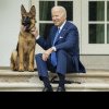 Câinele lui Joe Biden, un ciobănesc german, i-a mușcat de cel puțin 24 de ori pe agenții Serviciului Secret