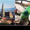 Studiu: Cluj-Napoca, cel mai poluat din țară. În „orașului de 5 stele” se respiră cel mai mizerabil aer din România