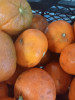 FOTO: Gândaci, fructe mucegăite și practici comerciale incorecte, printre neregulile găsite de Protecția Consumatorilor la Unicarm