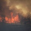 Administraţia Parcul Natural Văcăreşti, despre incendiul de joi: Înţelegem şi regretăm profund impactul pe care acest incident îl are asupra biodiversităţii