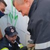 Căţel căzut într-o groapă acum trei zile, salvat de pompierii din Tulcea