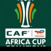 Cupa Africii pe Naţiuni: reprezentativa de fotbal a Africii de Sud a câştigat medaliile de bronz