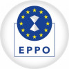 EPPO searches in Bucharest, several counties in case of European IT fraud