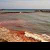 Fenomen rar pe litoralul românesc: Marea Neagră a devenit Marea Roșie - Ce spun biologii / VIDEO