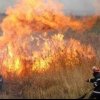 Flăcările mistuie 40 de hectare de vegetație într-un puternic incendiu din Vrancea