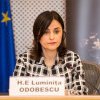 ForMin Odobescu, Deputy PM for Reintegration of Republic of Moldova Serebrian, about Transnistrian file